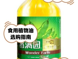 植物油是什么油