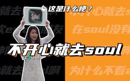 不开心你就去soul啊是什么梗？