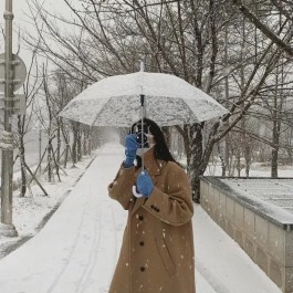 张万森下雪了是什么梗？张万森下雪了是什么意思？